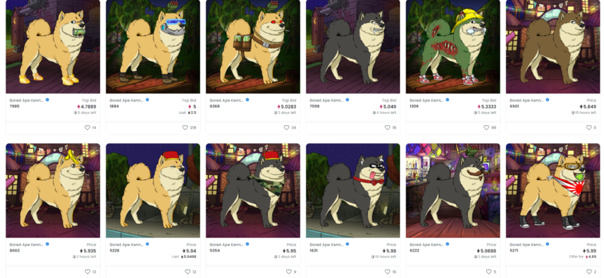 Bored Ape Kennel Club подборка с Opensea