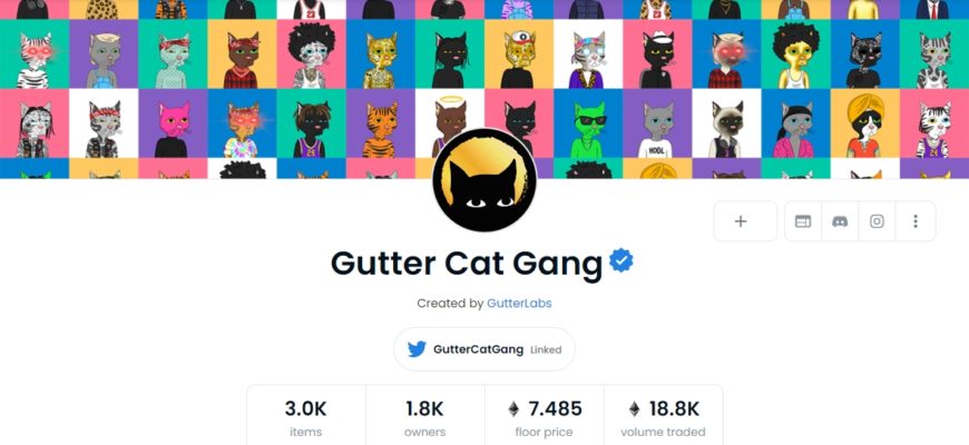 Gutter Cat Gang opensea