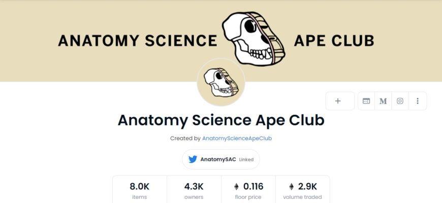 Anatomy Science Ape Club opensea