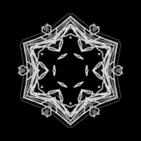 Ephemeral Bewilderment BrainDrops Ephemeral Bewilderment