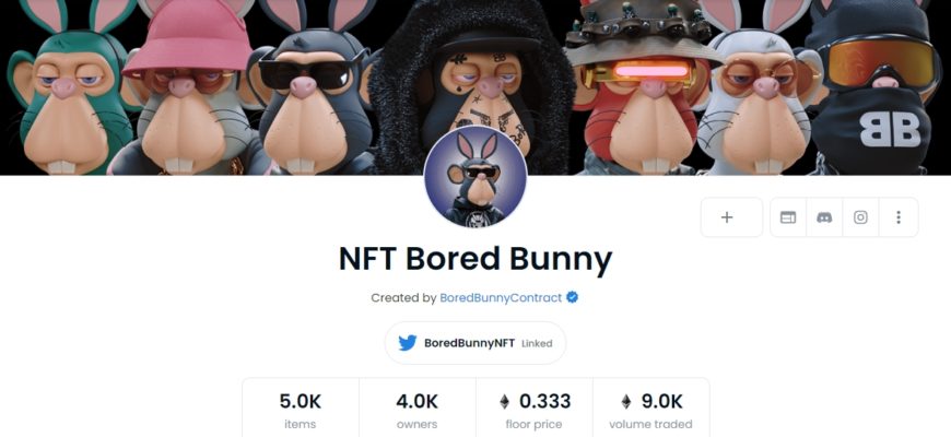 NFT Bored Bunny opensea