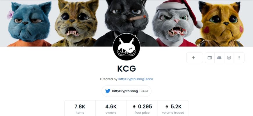 kittycryptogang nft