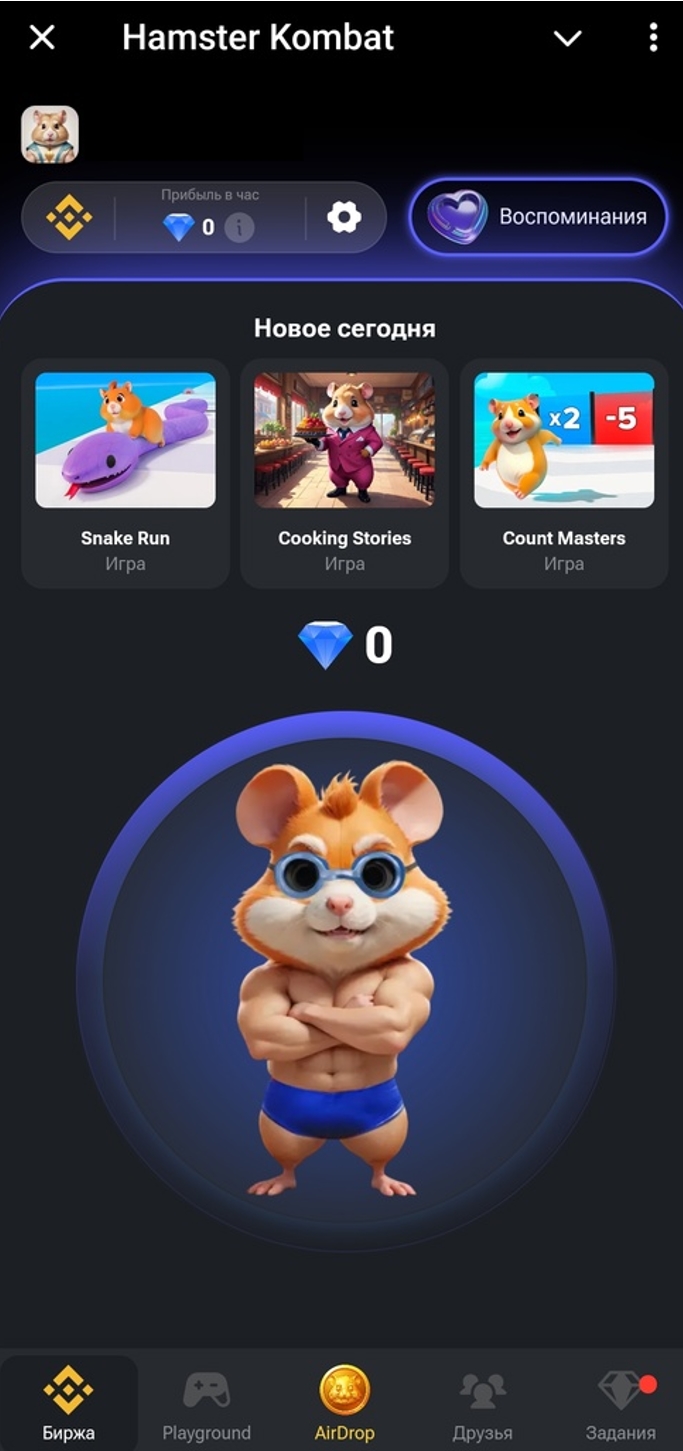 hamster kombat
